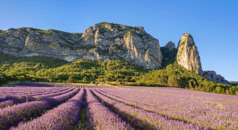 Le Climat Agréable et Ensoleillé de la Drôme